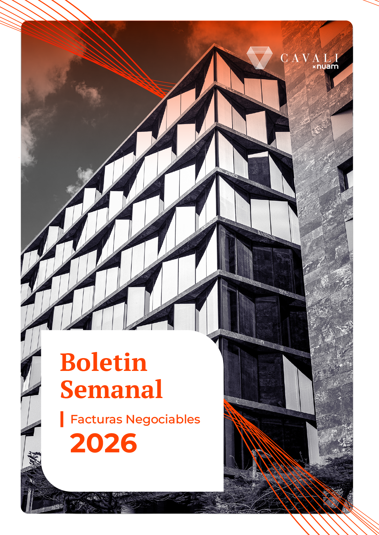 portada boletin semanal